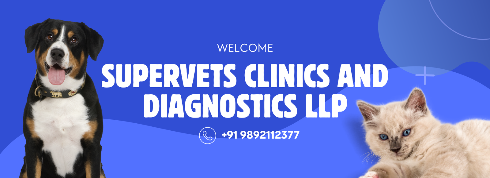 salud · bienestar · artículos varios (1)